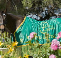 Living Legends The International Home of Rest for Champion Horses - C Tourism