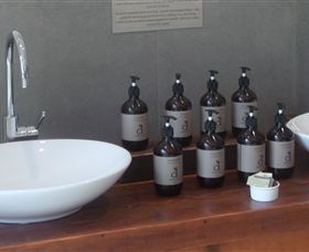 Dindi Naturals - C Tourism 2