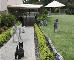 Otway Estate - C Tourism 5
