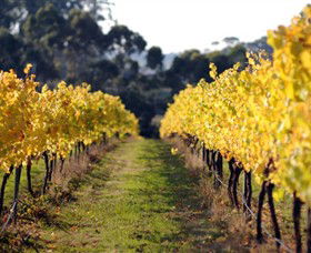 Otway Estate - C Tourism 6