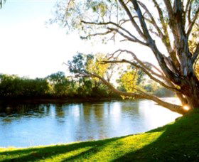 Albury - Murray River Precinct - C Tourism 0