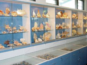 Shell World Yeppoon - C Tourism 1