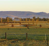 Holbrook Landcare Self-Drive Eco Tour - C Tourism