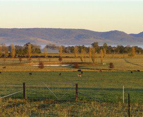 Holbrook Landcare Self-Drive Eco Tour - C Tourism 0