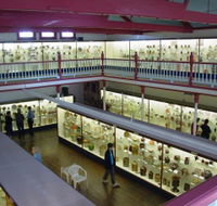 National Museum of Australian Pottery - C Tourism