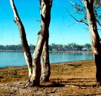 Lake Broadwater Conservation Park - C Tourism
