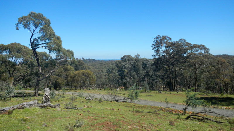 Hill End NSW C Tourism