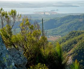 Mount Larcom Climb - C Tourism 1