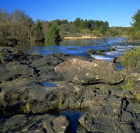 Kambah Pool to Pine Island - C Tourism