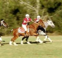 Morgan Park Warwick - C Tourism