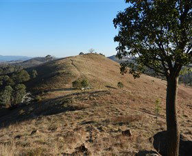 Urambi Hills - C Tourism 1