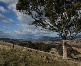 Urambi Hills - C Tourism 0