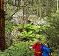 Centennial Glen - C Tourism