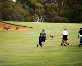 Federal Golf Club - C Tourism 0