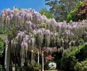Nooroo Gardens - C Tourism 0