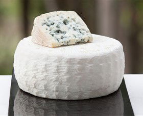 Prom Country Cheese - C Tourism 6