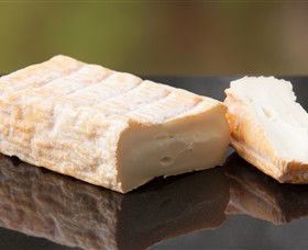 Prom Country Cheese - C Tourism 7