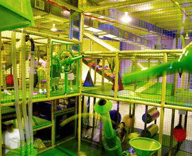 Monkey Mania - C Tourism 1