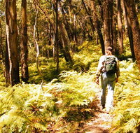 Federal Pass - C Tourism