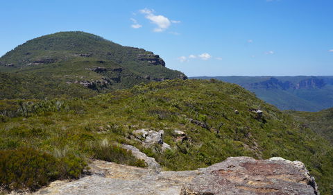 Mount Banks Road Cycle Route - C Tourism 0
