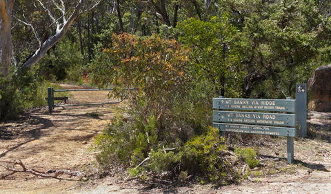Mount Banks Road Cycle Route - C Tourism 1