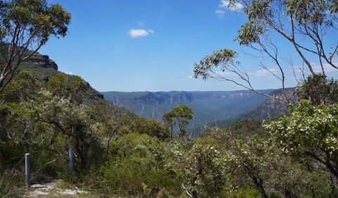 Mount Banks Road Cycle Route - C Tourism 2