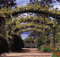 Blue Mountains Botanic Garden - C Tourism