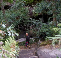 Leura Cascades Fern Bower - C Tourism