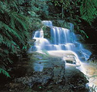 Leura Cascades - C Tourism