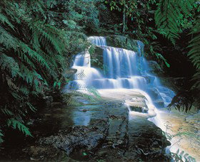 Leura Cascades - C Tourism 0