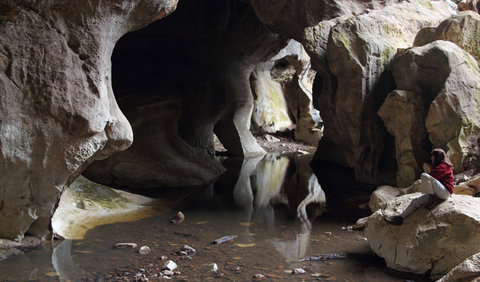 Fig Tree Cave - C Tourism 2