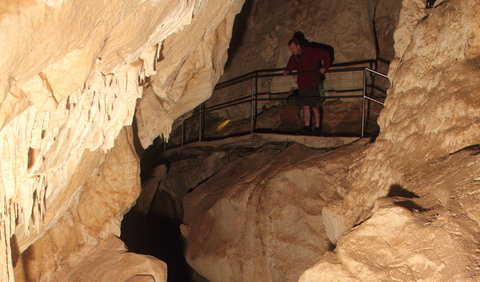 Fig Tree Cave - C Tourism 3