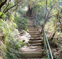 Nature track - C Tourism