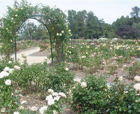 Victoria Park Rose Garden - C Tourism 0