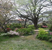 Hamilton Spa - C Tourism