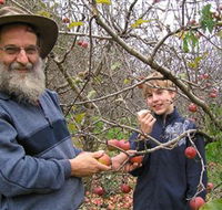 Pine Crest Orchard - C Tourism