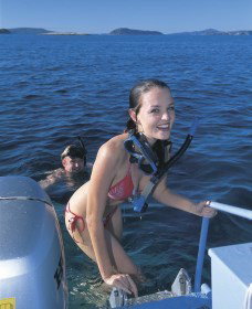 Seal Cove - C Tourism 0