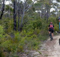 McMahon's Point ride - Wentworth Falls - C Tourism