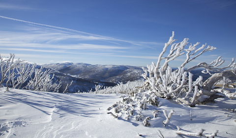 Rock Creek Snowshoe Track - C Tourism 0