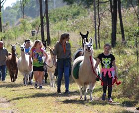 Scrub Creek QLD C Tourism