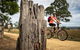 Gippsland Plains Rail Trail - thumb 2