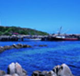 King Island Dairies - C Tourism