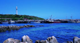 King Island Dairies - C Tourism 0