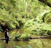 Morwell National Park - C Tourism