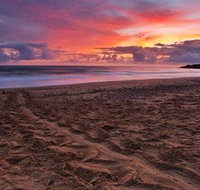 Mon Repos Beach - C Tourism