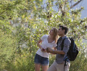 The Rock Lookout - C Tourism 6