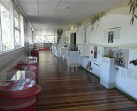Kanyana Wildlife Rehabilitation Centre - C Tourism 1