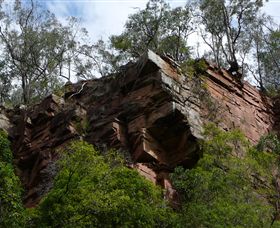 Mitchell River Walking Track - C Tourism 2