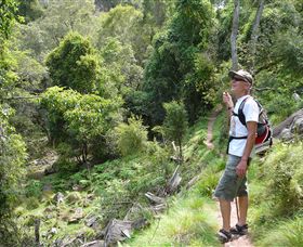 Mitchell River Walking Track - C Tourism 1