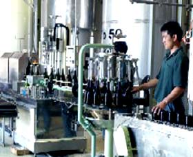 Sun Masamune Sake Brewery - C Tourism 2